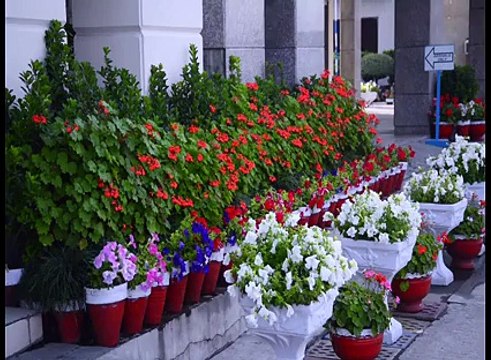 Renovation Work Completed at Benazir Bhutto International Airport, Islamabad