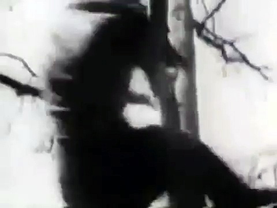 1930s Parkour Freestyle running