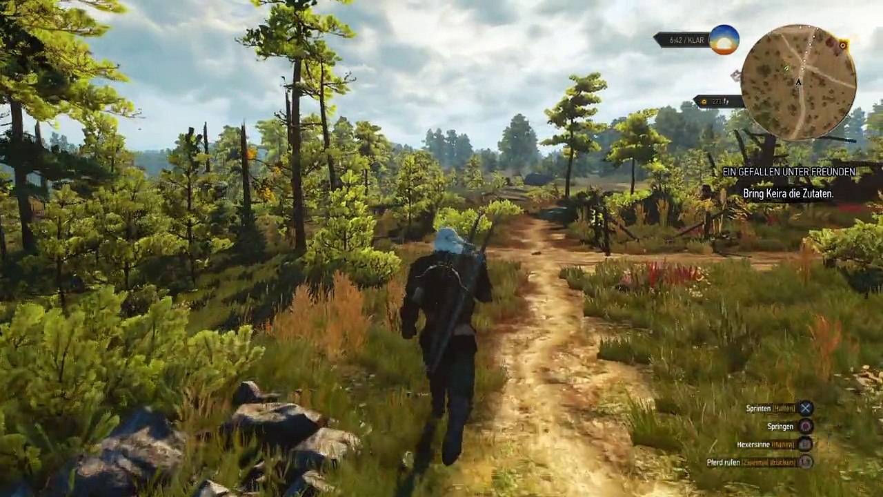 The Witcher 3: Wild Hunt Keira Metz