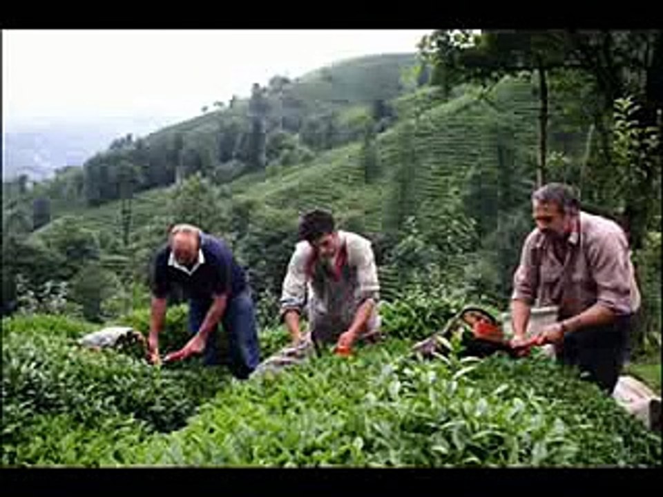 LAZLAR TÜRK DEGIL - SKUDAS LAZISTAN