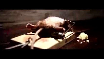 cheese funny ad commercial