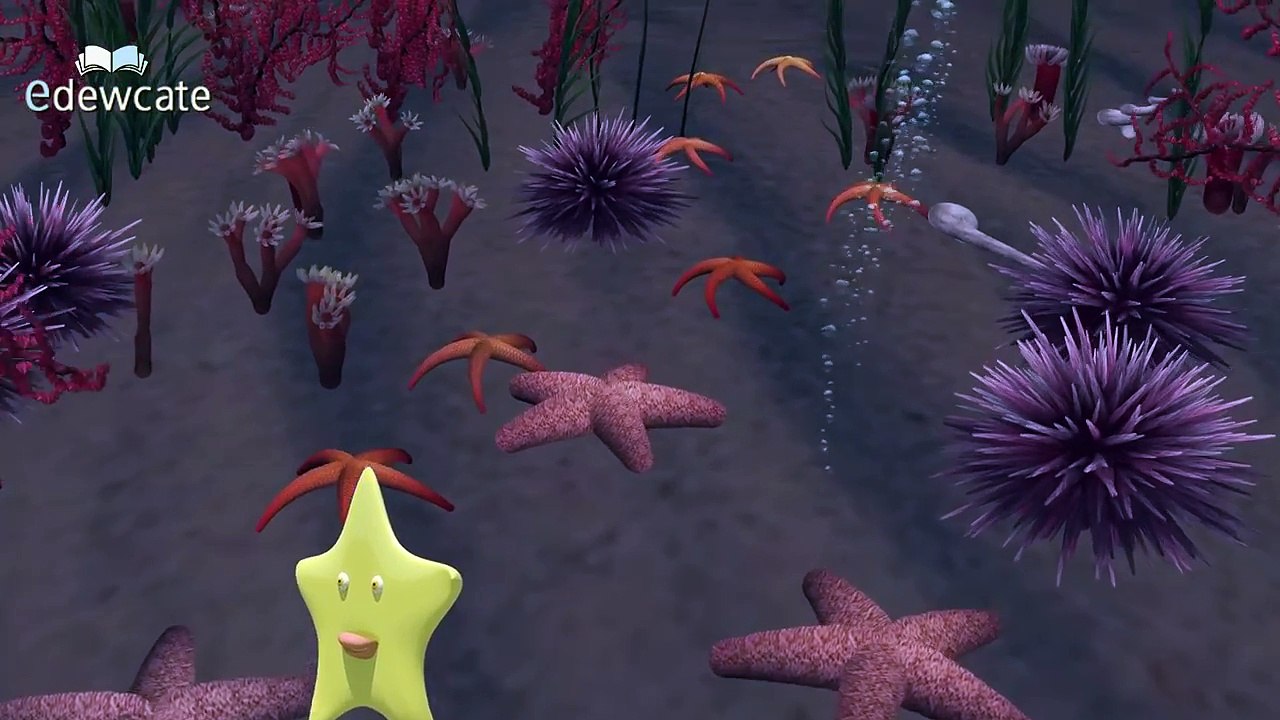 The Shapes Song | Shapes for children | Learn Shapes | Shapes Song Collection