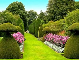 CURSO DE "MAYOR FELICIDAD" EN HARVARD - Enya: Música de Película "Gladiador"