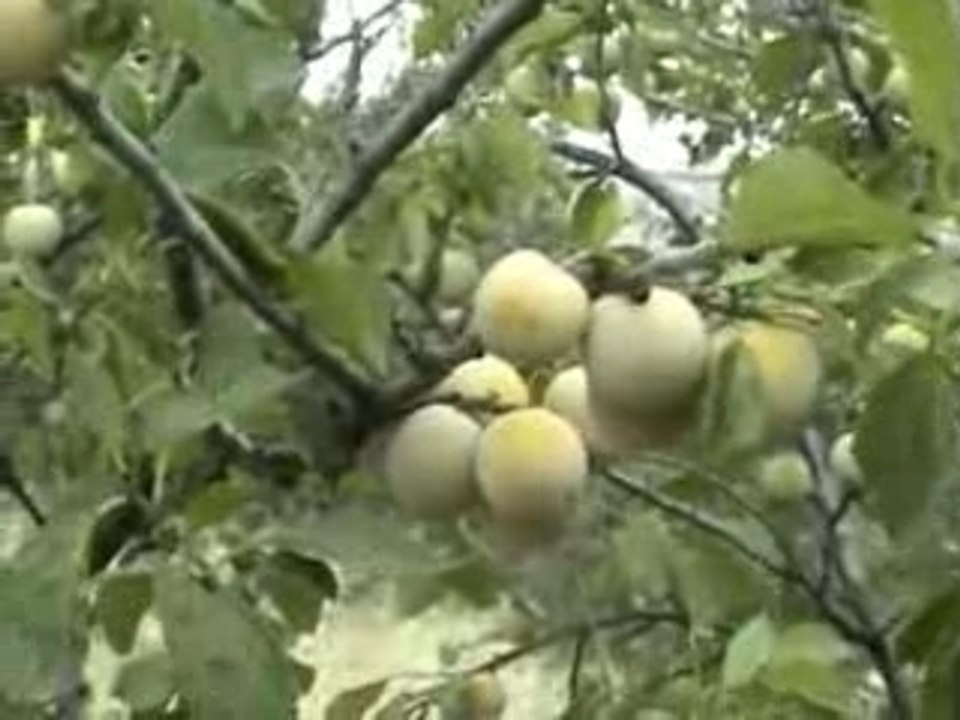 D'Eysines à lagunilla salamanca