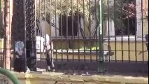 Carabineros libera video de enfrentamiento en Casa Central de la Universidad de Chile