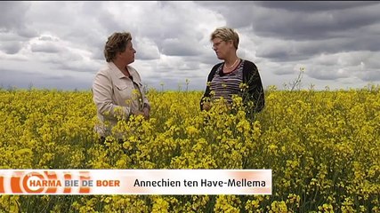 Het Weer: Harma bie de boer [25-5-2015] - RTV Noord