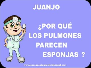 POR QUÉ PARECEN ESPONJAS