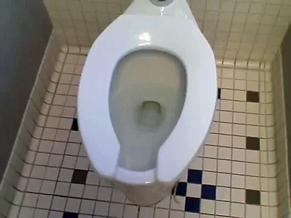 Toilet Flush