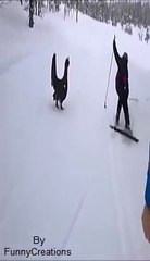 Thug Life Compilation-stop yourself from laughing