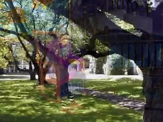 rhymes on colours-english rhymes-rhymes for children-rhymes on Brown-rhymes-poems-songs for kids