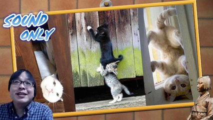 【在特会・桜井誠】嫌韓世論にビビり始めた韓国メディアが「韓日友好」をごり押し！【お断り！】