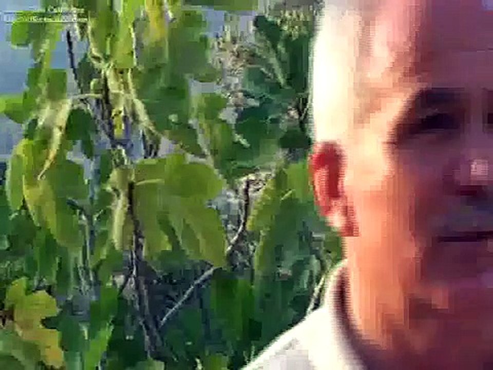 HALİS YURTSEVER-DENGBEJ HALİS -1-