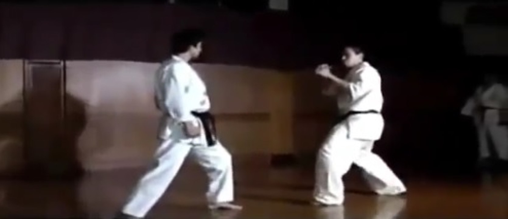 Karate Teknikleri