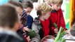 Farm & Countrys Days - The farm and food education event for primary schools in Cornwall