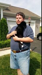 Il presse son chat pour l'aider à uriner