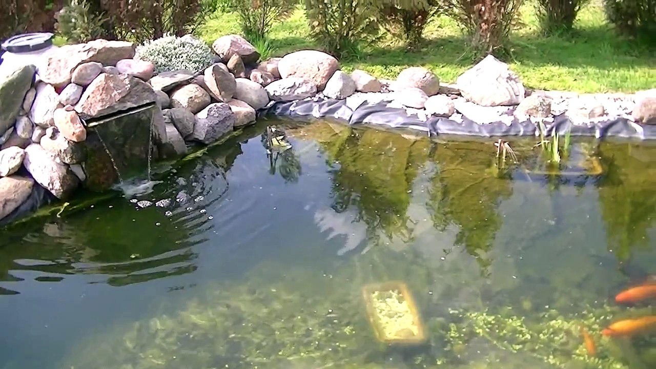 Woda I Roztwory Wodne Sprawdzian Chomikuj