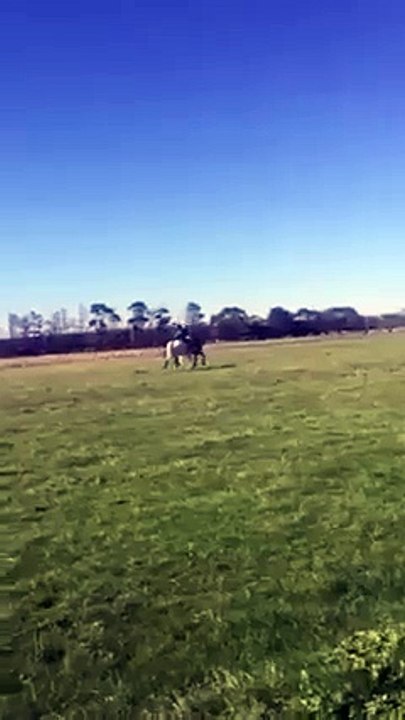 Une femme est mise KO par son cheval