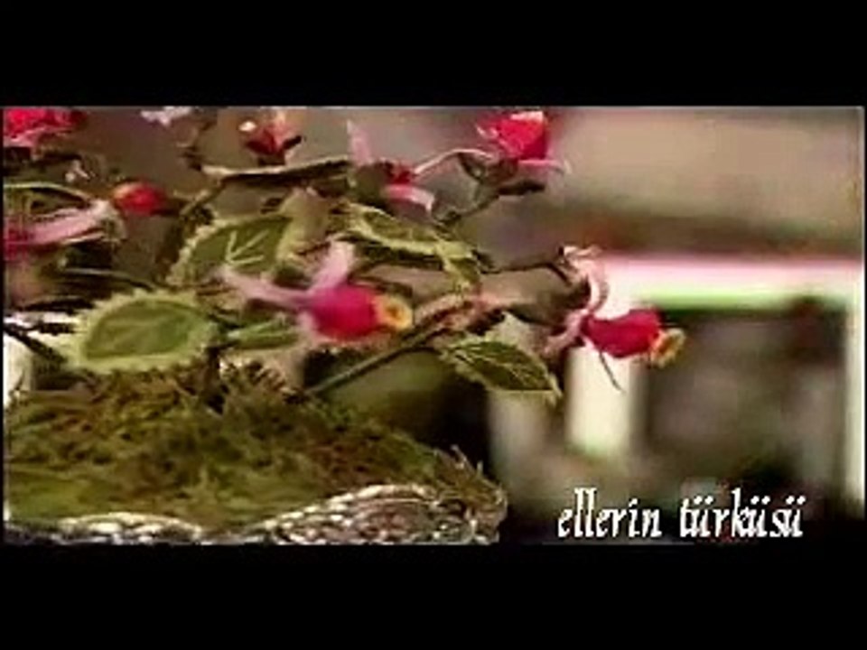 Ellerin Türküsü - Nallıhan İpek Oyası 1