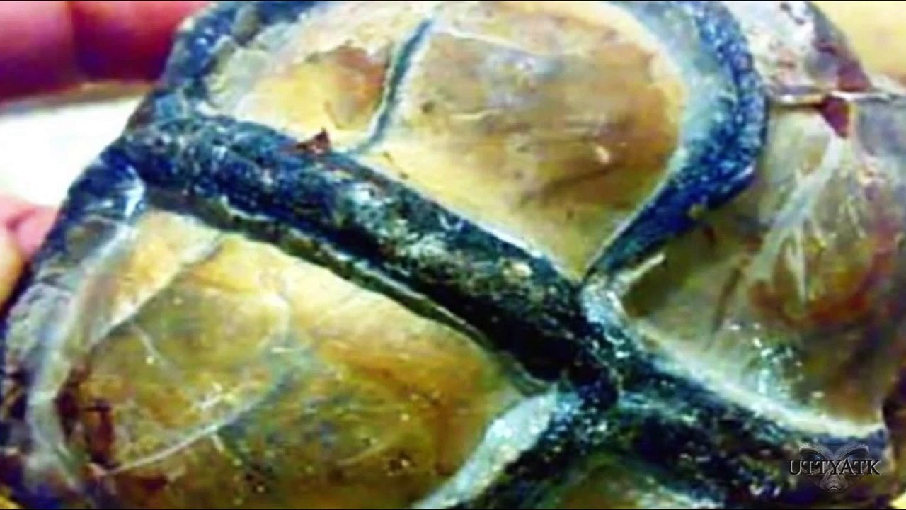 Possible Alien Artifact found