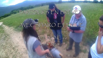 shairo en brevet A L'AOC 66