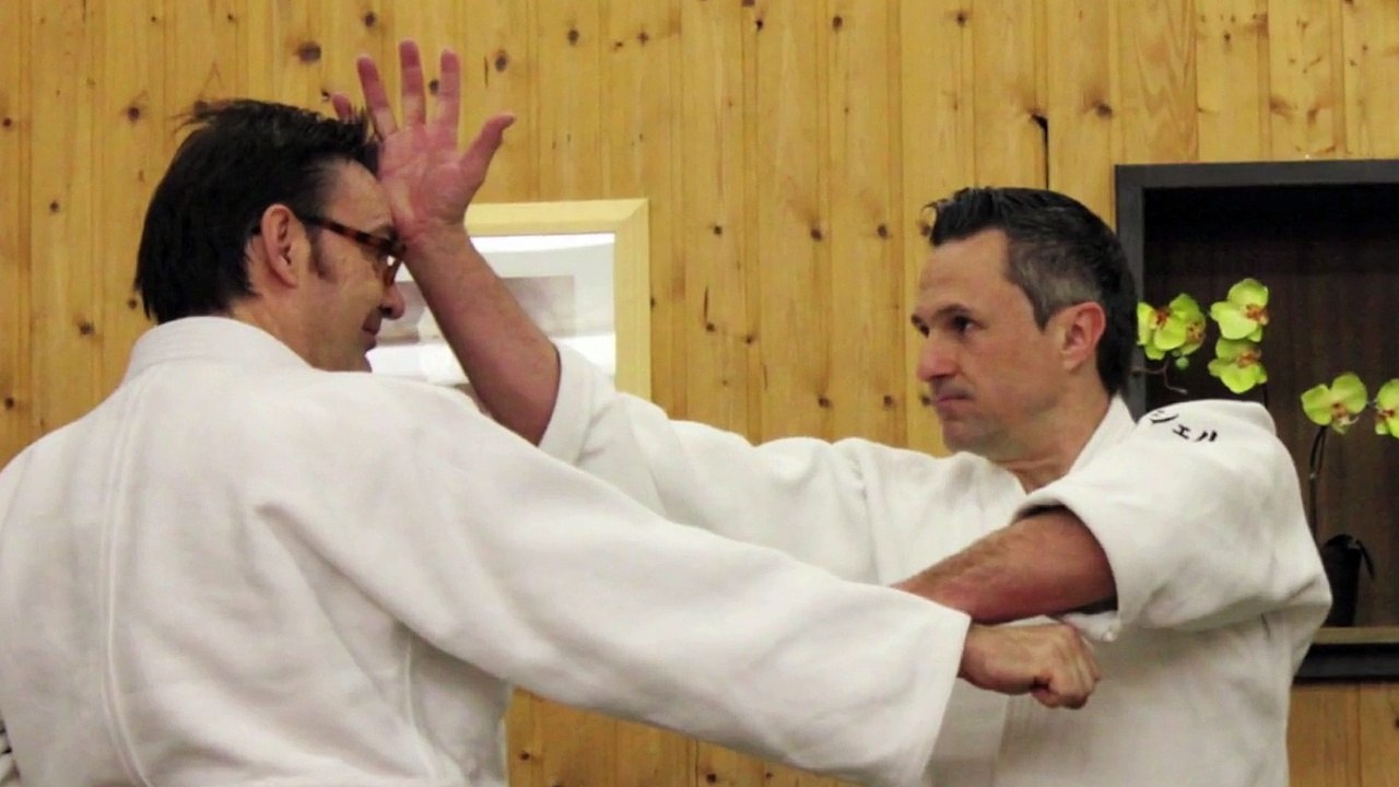 The Aikido Notebooks with Michel Erb Sensei Part 14 The attacks