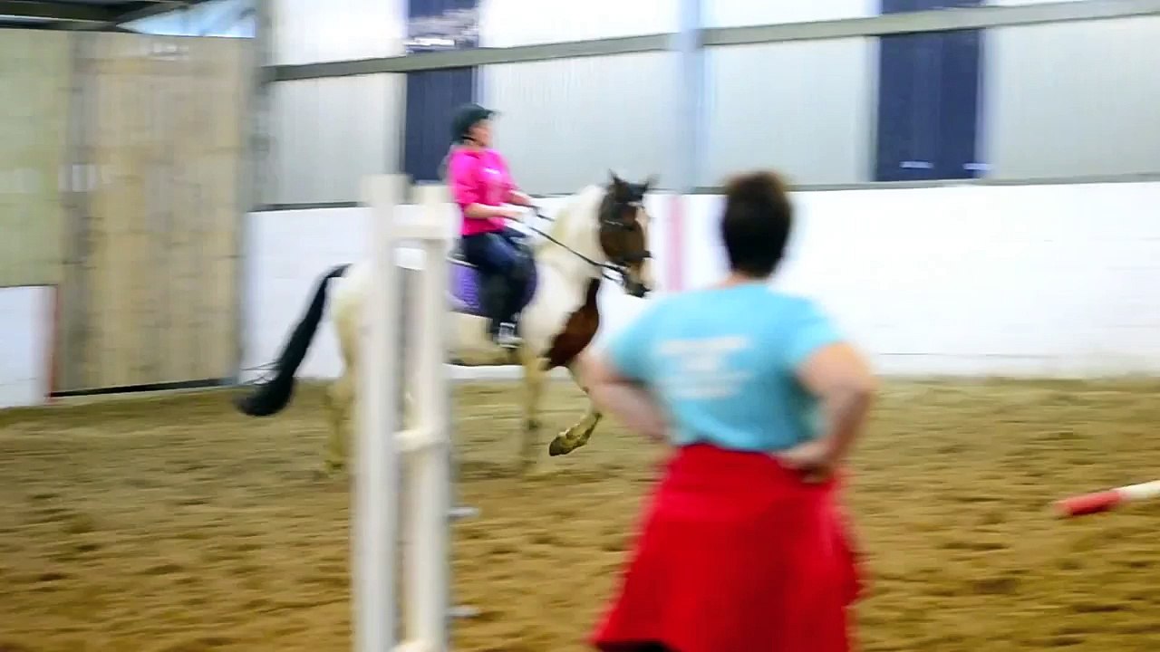 Murphy 1m20 [TRIPLE BAR]