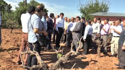 Zeybekci: "Böyle Milliyetçilik Olur, Lafla Olmaz"