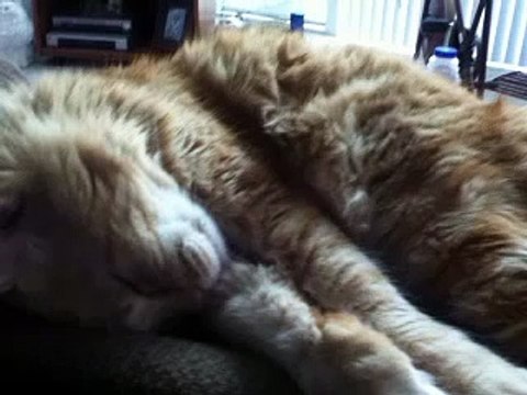 ROCKY BALBOA THE EYE OF THE TIGER