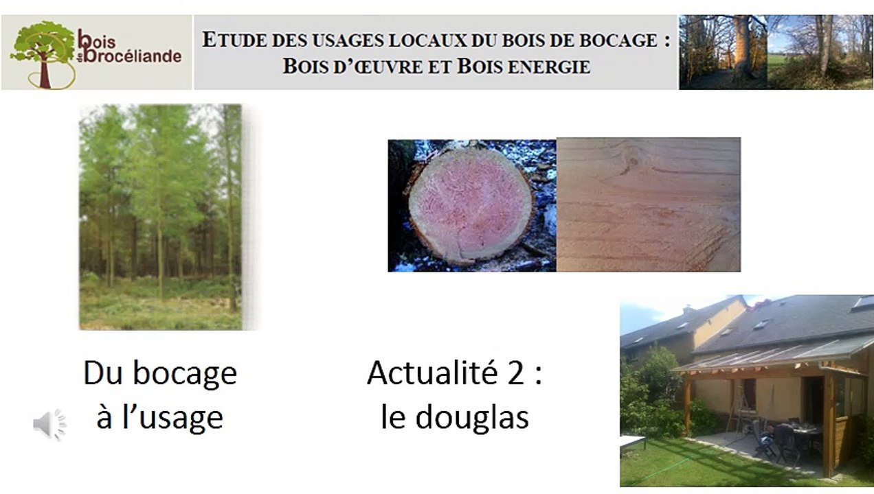 bb ulule actualité2 douglas