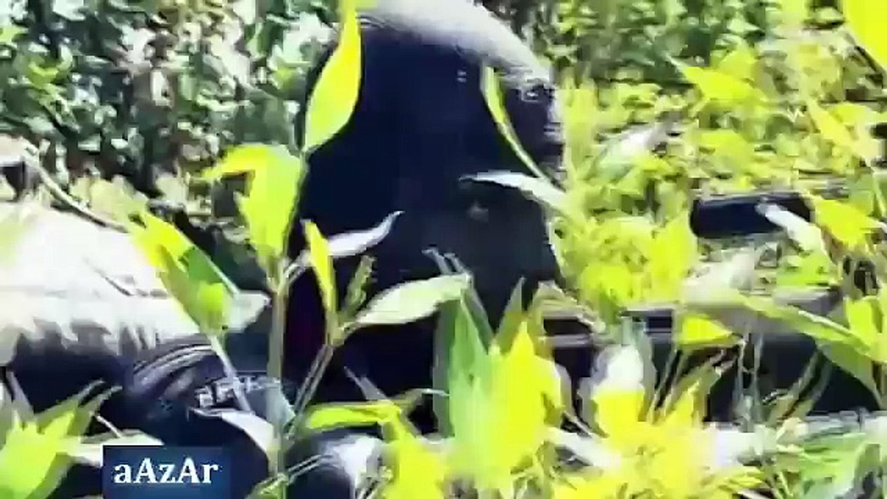 Special Services Group Navy (SSG N) Training - Pakistan Navy