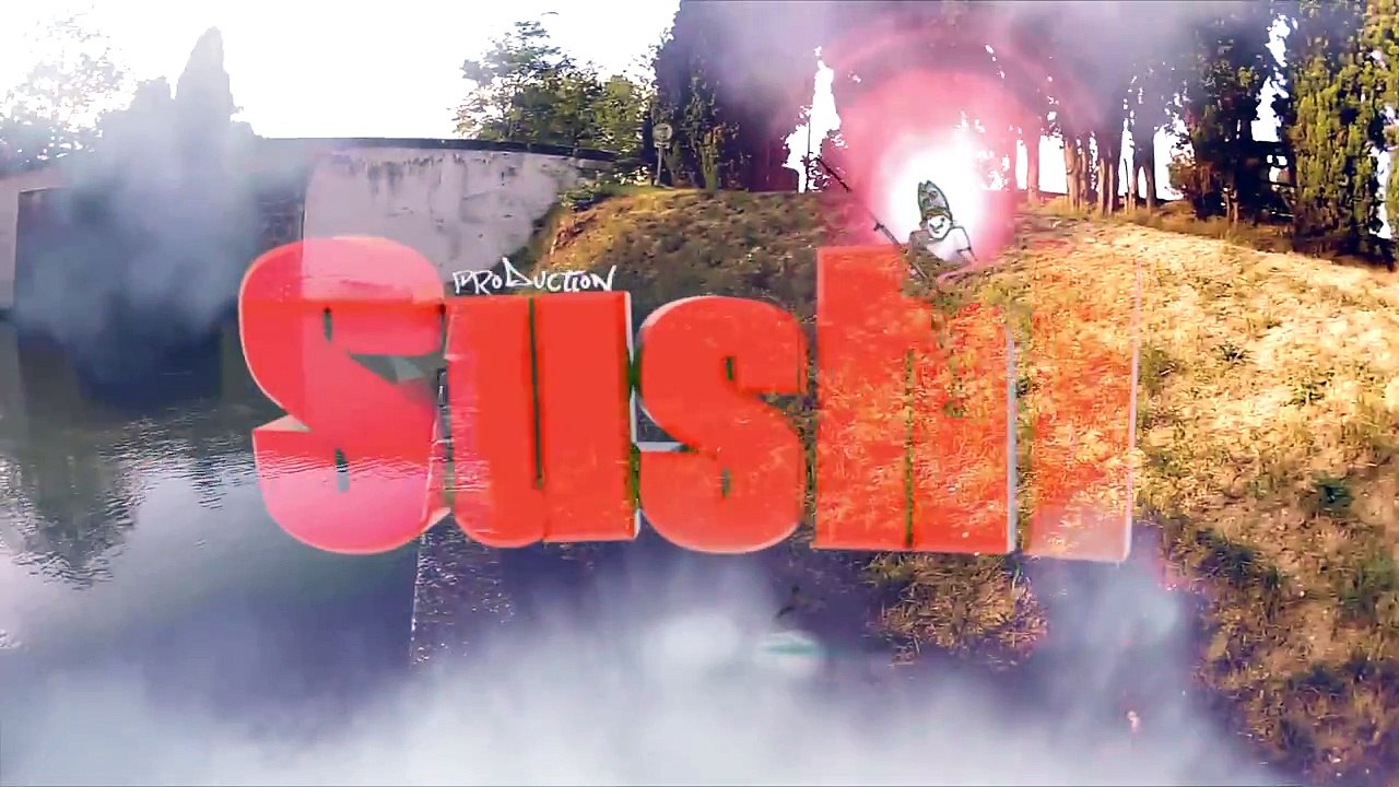 Pêche d'un gros Sandre d'environ 85 cm, Canal du Midi