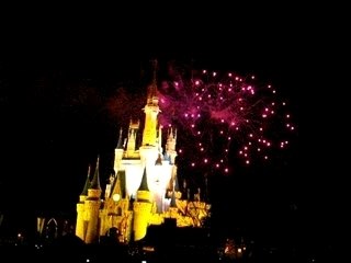 DisneyWorld (Magic Kingdom)