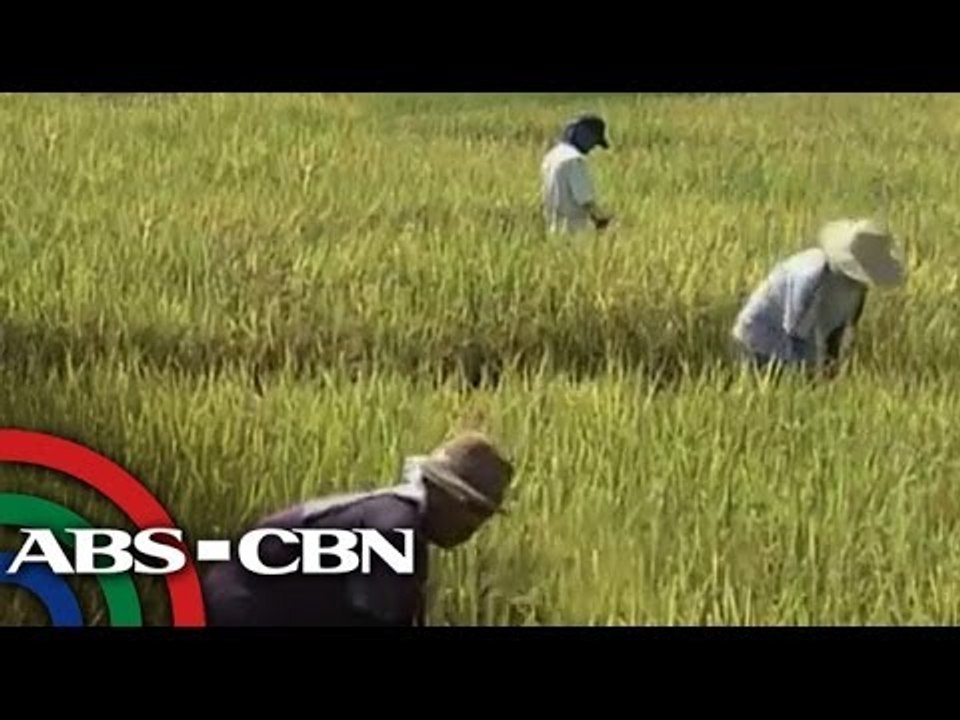 Farmers reeling from drought