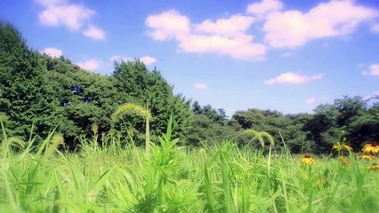 【睡眠用BGM】 5分で眠れる？  癒し 音楽  ⑯  癒し系音楽　Sleep in 5 minutes?　Relaxing music / Sleeping music