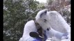 Emile in the snow - fursuit fun - Furry