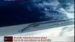 Tubarão branco ataca barco de pescadores na Austrália