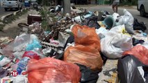 Cultura ciudadana para erradicar problemas de basura en Barranquilla