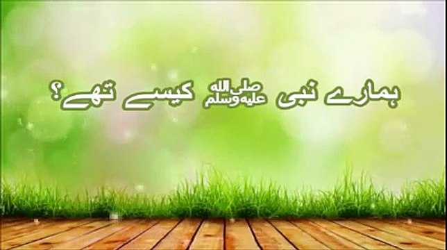 Hamare Nabi (S.A.W) kese the_ _ Maulana Tariq Jameel