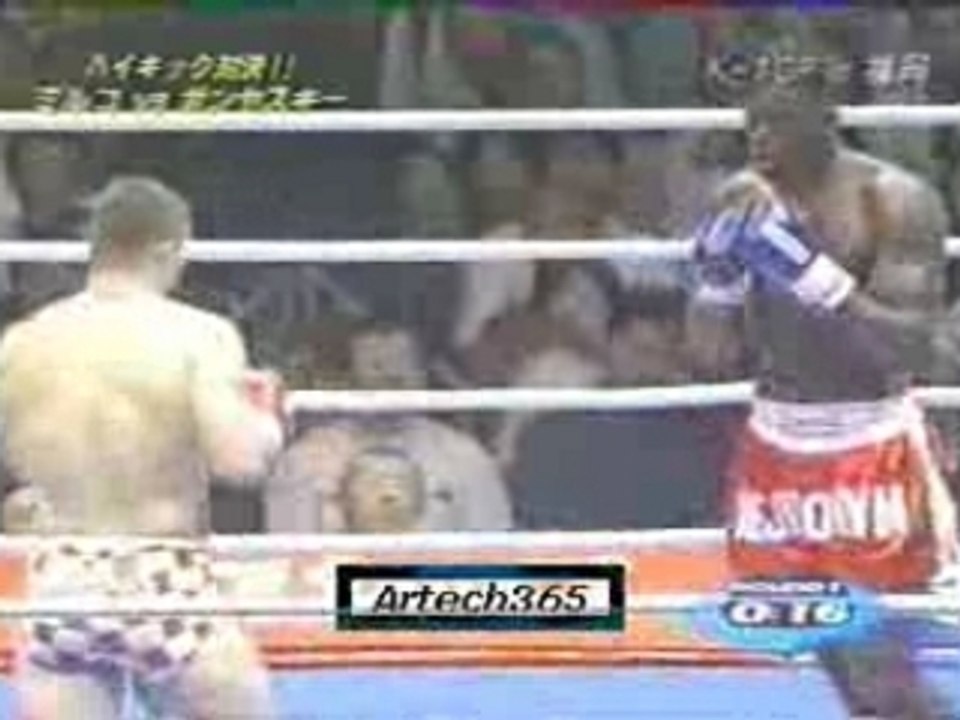 MIRKO "CRO COP" VS BONJASKY 2002