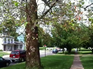 Mercy One lands near Knoxville Fire Dept during open house