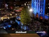 Oddball - Botched Tree Lighting, Robot Pole Dancers