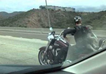 Dog Gets the Ride of His Life on the Freeway