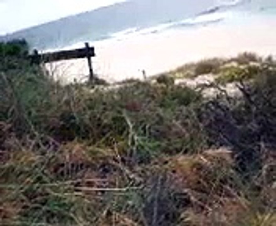 Windy Beach View s