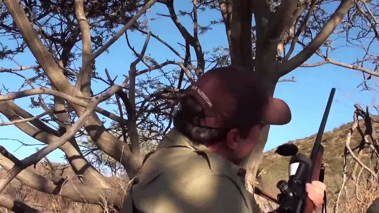 Africa Hunting Promo