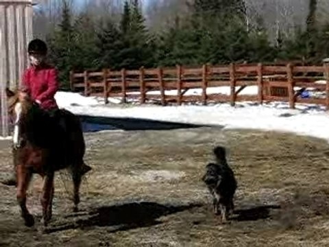 Moi et Canelle la Tulipe a cru et licol