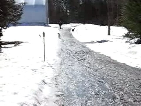 Moi et canelle a cru en licol, galop