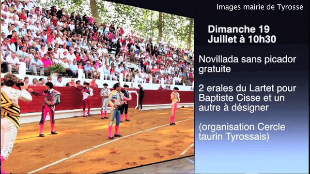 Evènements à ne pas manquer cet été à Saint Vincent de Tyrosse