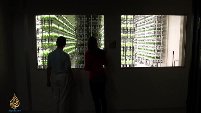 Earthrise - Japan's Future Farms