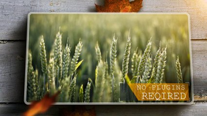 After Effects Project Files - My Photo Album - VideoHive 10174273