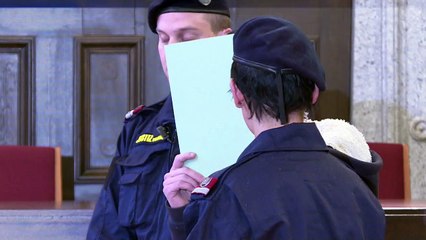 Joven de 14 años condenado por yihadista en Austria